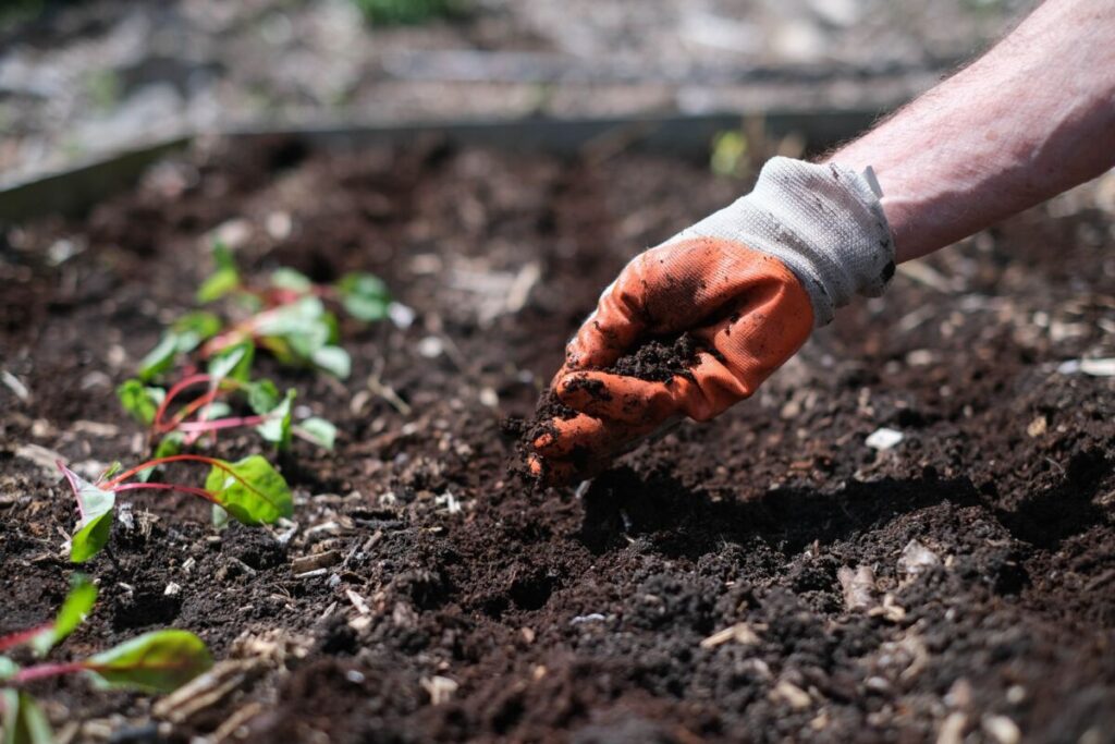 communitygardens_walnuthills2